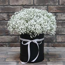 Цветочная композиция из Гипсофила в шляпной коробке в Троицкое